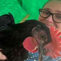 Betty Prince profile picture