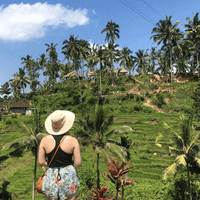 Jessica Robinson profile picture