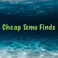 Cheap Temu Finds profile picture