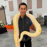Cameron Chou profile picture