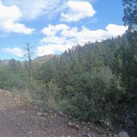 Survivaltvnetwork profile picture