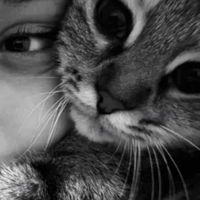 Dunja profile picture