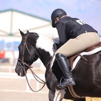 Ashley Lewis profile picture