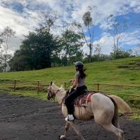 Amira Madhyastha profile picture