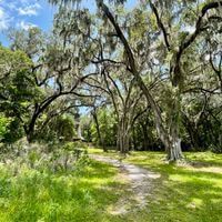 Blue Bird lll profile picture