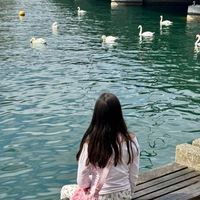 Emily C. profile picture