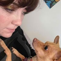 Taylor Pierson profile picture