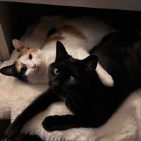 shelby martin profile picture