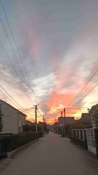 Filip Vasojevic profile picture