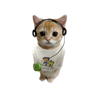 kkumalvr profile picture