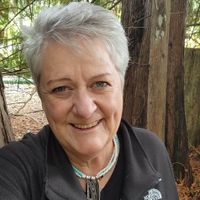 Tass Aumuller profile picture