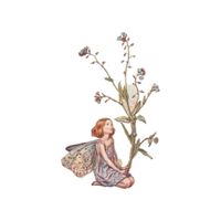 Whimsy World profile picture