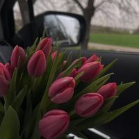 Angelina profile picture