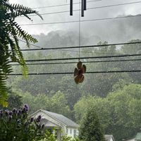 BriBri profile picture