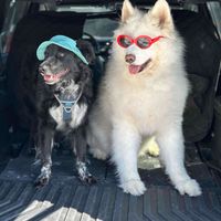 Leo, Kai, and Aerith profile picture