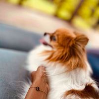 Lulu juma profile picture