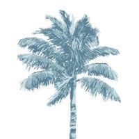 Kelly Humes profile picture