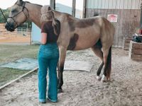 Kyndal Swearingen profile picture
