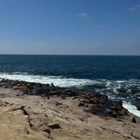 lori ❀࿐ profile picture