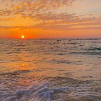 Sierra Paige profile picture