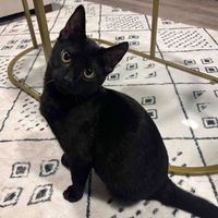 Lauryn profile picture