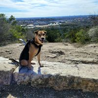 Kc Reyes profile picture