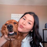Alexis Lorenzana profile picture