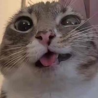 Mel s profile picture
