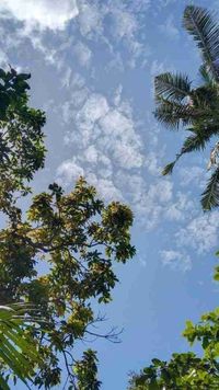 Sihle profile picture