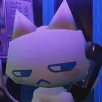 rachel profile picture