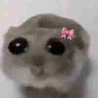 Trin ✨ profile picture