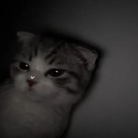 miranda<33 profile picture