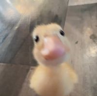 magdaleny profile picture