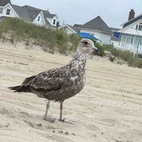 Homemade_w_luv profile picture