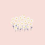 alivia profile picture