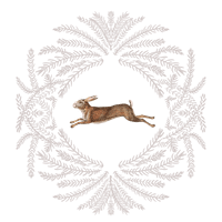 Jenny Pilkington profile picture