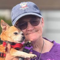 Lynn Tooley profile picture