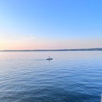 Haley Pears profile picture