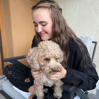 дарья ковалева profile picture
