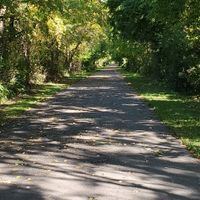 LSage Pine profile picture