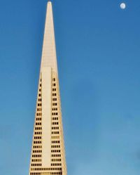 Yani D profile picture