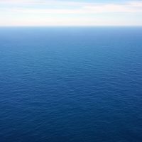 Alexis profile picture