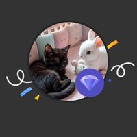 Chariot and Lance the rabbit profile picture