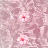 Elma profile picture