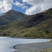 Pippa profile picture