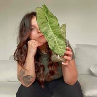 Katerina Cavs profile picture