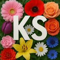 Kein Soo profile picture