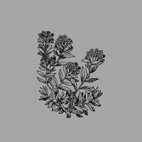 Anna Hayes profile picture