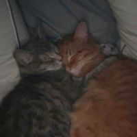 kyla profile picture