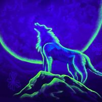 Stephanie Garay profile picture